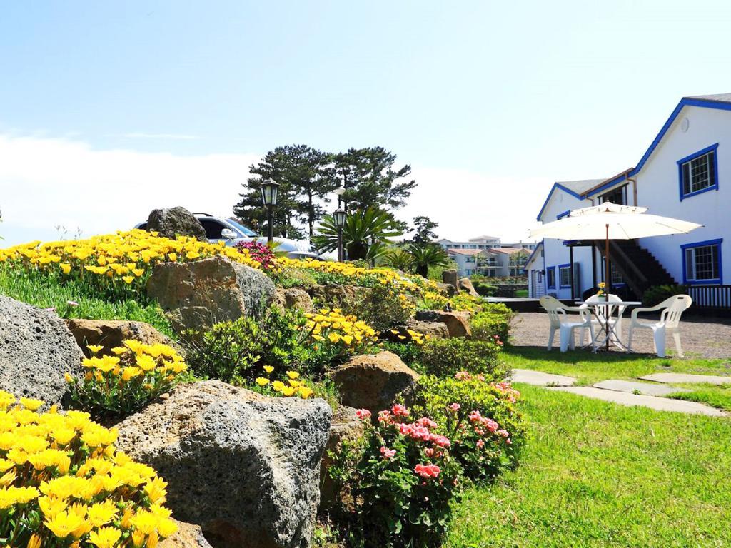 White Dream Pension Jeju Exteriör bild